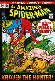 Amazing Spider-Man 1963 Series #104