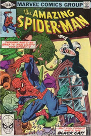 Amazing Spider-Man 1963 Series #204