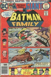 Batman Family 1975 Series #6