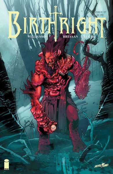Birthright 2014 Series #17