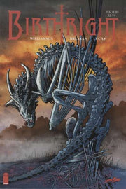 Birthright 2014 Series #19