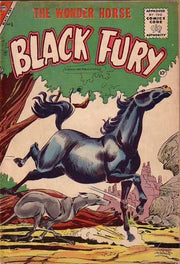 Black Fury 1955 Series #6