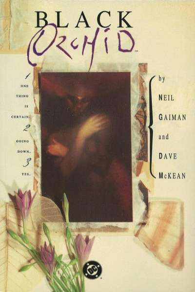Black Orchid 1988 Series Trade Paperback #1