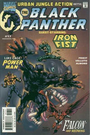 Black Panther 1998 Series #17