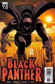 Black Panther 2005 Series #1