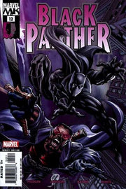 Black Panther 2005 Series #12