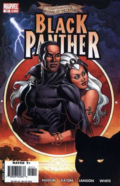 Black Panther 2005 Series #17
