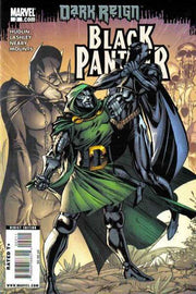 Black Panther 2009 Series #2