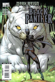 Black Panther 2009 Series #4