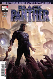 Black Panther 2018 Series #12