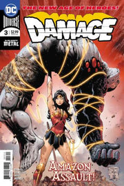 Damage 2018 Series #3