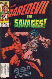 Daredevil 1964 Series #202