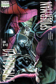Daredevil/Spider-Man #3