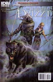 Dungeons & Dragons: The Legend of Drizzt: Neverwinter Tales #3