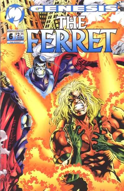 Ferret 1993 Series #6