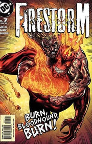 Firestorm 2004 Series #7