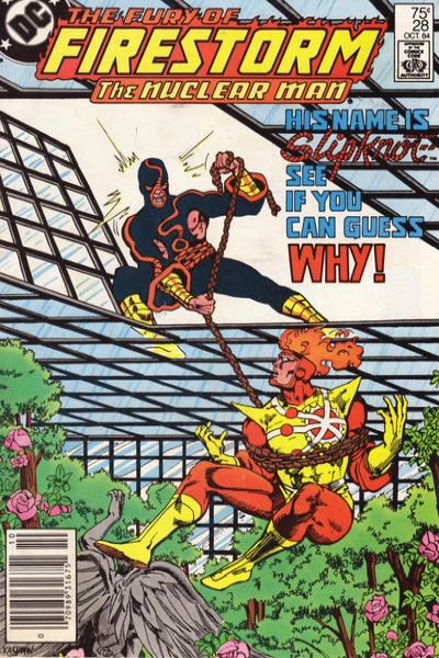 Fury of Firestorm 1982 Series #28