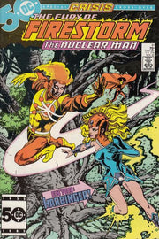 Fury of Firestorm 1982 Series #41
