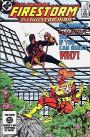 Fury of Firestorm 1982 Series #28