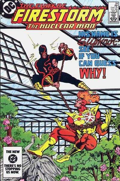 Fury of Firestorm 1982 Series #28