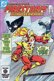 Fury of Firestorm 1982 Series #29