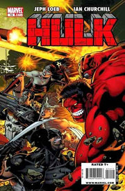 Hulk 2008 Series #14