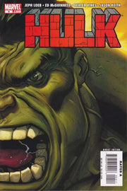 Hulk 2008 Series Right cover #4