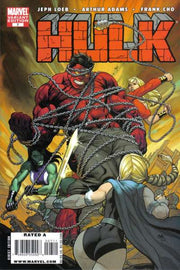 Hulk 2008 Series Cho cover #7