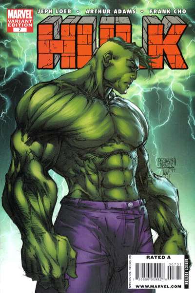Hulk 2008 Series #7