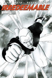 Irredeemable 2009 Series Limited Edition #3
