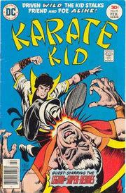 Karate Kid #6