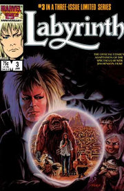 Labyrinth #3