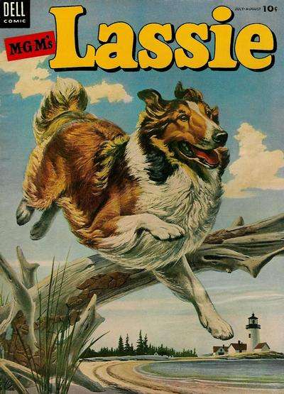 Lassie #17