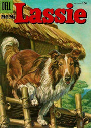 Lassie #29
