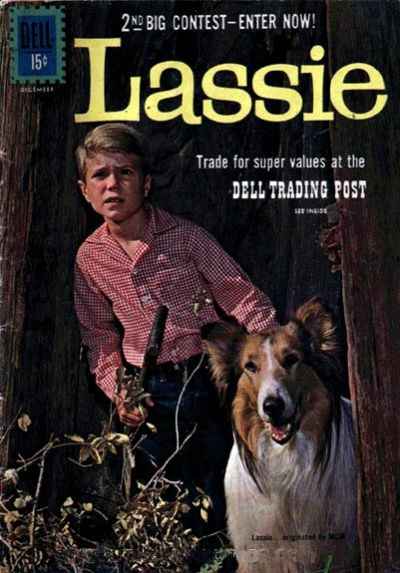 Lassie #55
