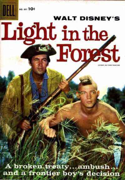 Light in the Forest #1