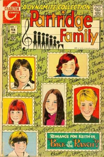 Partridge Family #7
