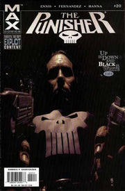 Punisher 2004 Series #20