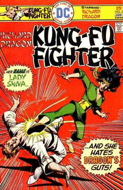Richard Dragon: Kung-Fu Fighter #5