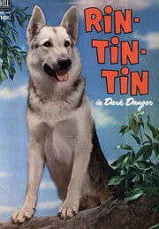 Rin Tin Tin #1