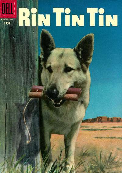 Rin Tin Tin #12