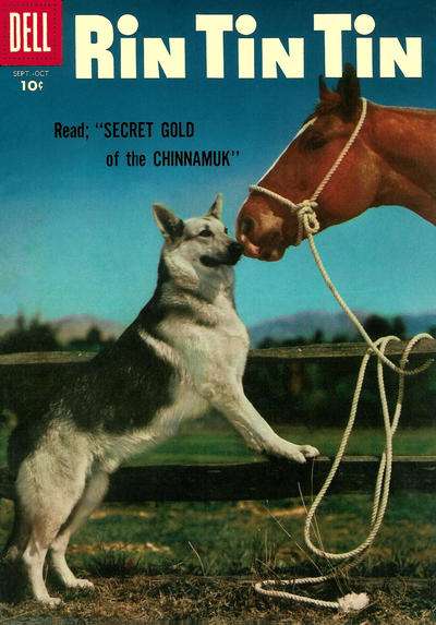 Rin Tin Tin #15