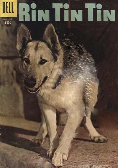 Rin Tin Tin #17