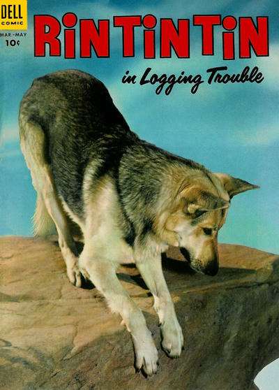 Rin Tin Tin #4