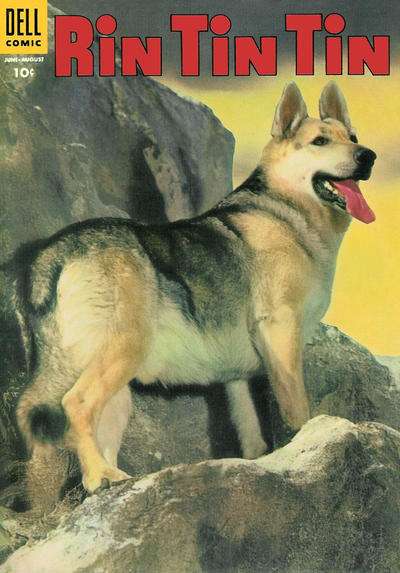 Rin Tin Tin #9