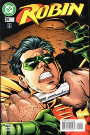 Robin 1993 Series #29