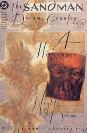 Sandman 1989 Series #19