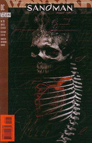 Sandman 1989 Series #55