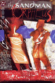 Sandman 1989 Series Special #1
