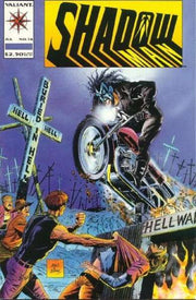 Shadowman 1992 Series #14